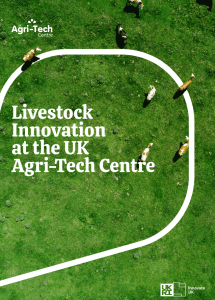 Livestock Innovation at the UK Agri-Tech Centre