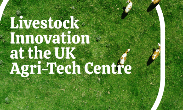Livestock Innovation at the UK Agri-Tech Centre