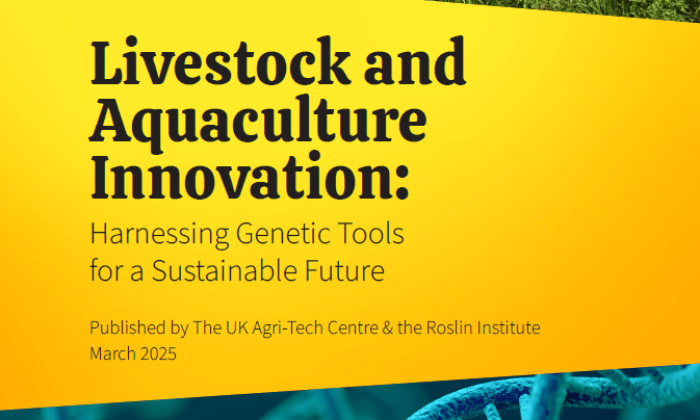 Livestock and Aquaculture innovation