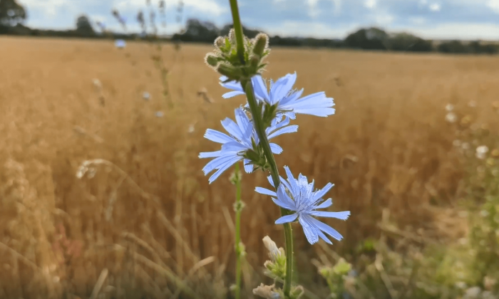 Screenshot 2025-10-03 120808