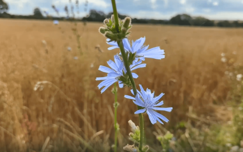 Screenshot 2025-10-03 120808