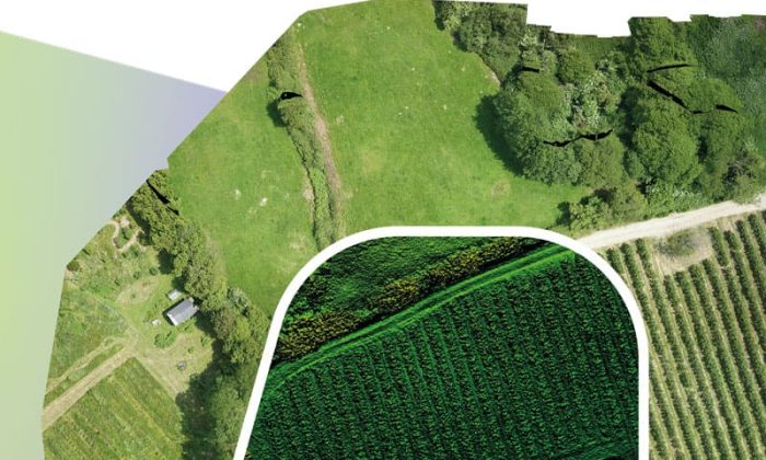 Spectral-Imaging-1-1