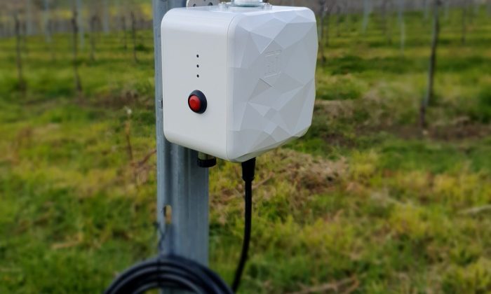 Terraprima-Ladybird-Sensor-scaled-e1713454714507