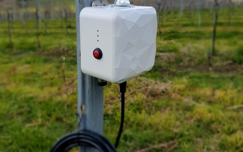 Terraprima-Ladybird-Sensor-scaled-e1713454714507