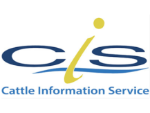 The cattle info service 400x300