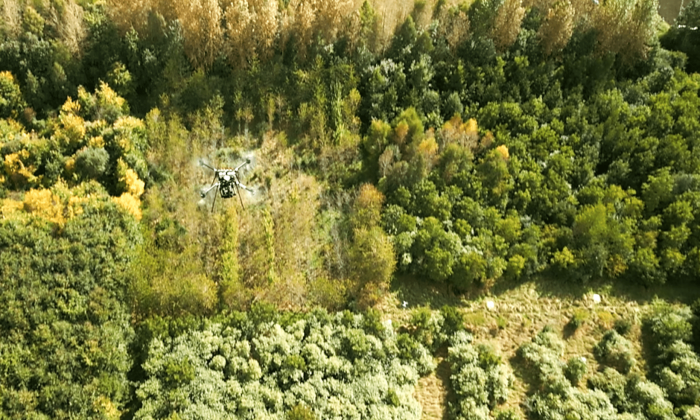 UAV Forest_high-res2