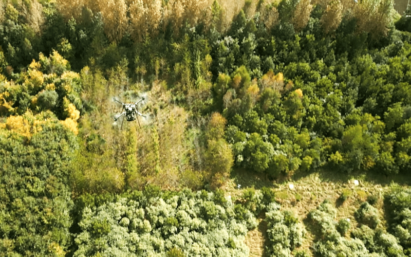 UAV Forest_high-res2