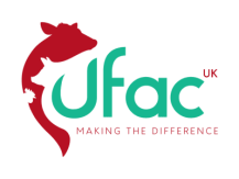 UFAC 400x300