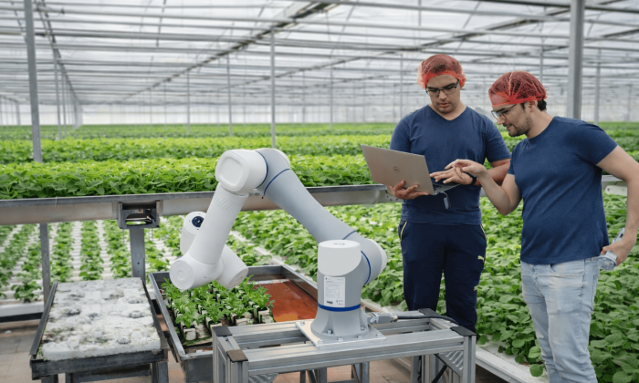 Sustainable propagation system