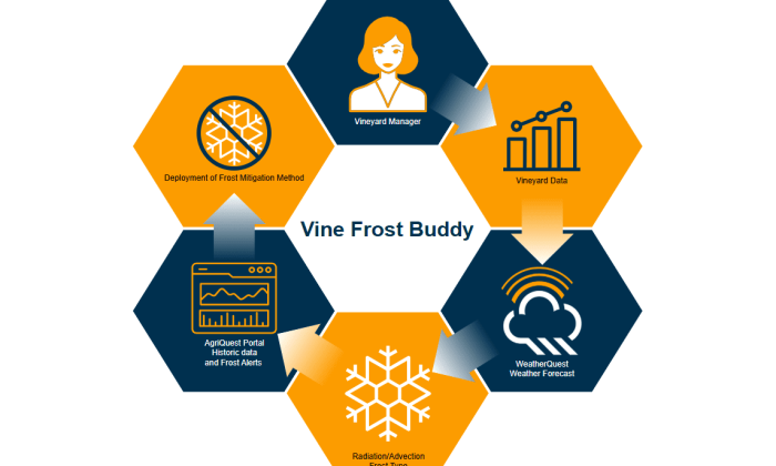 VineMAP_WCO_Hex copy
