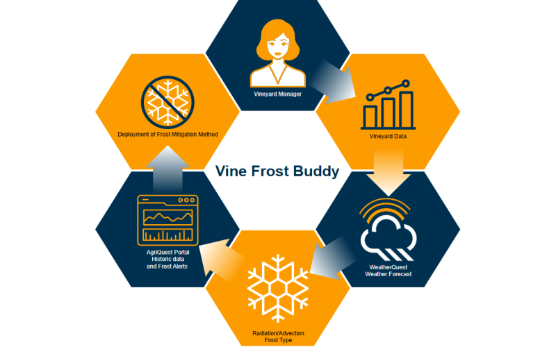 VineMAP_WCO_Hex copy