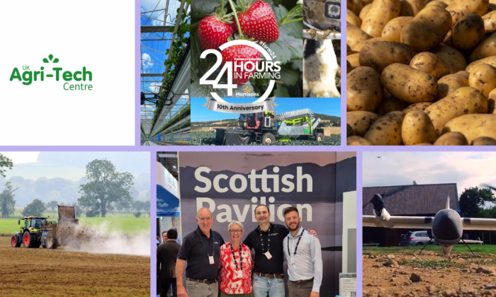 Website banner (1200 x 637 px)