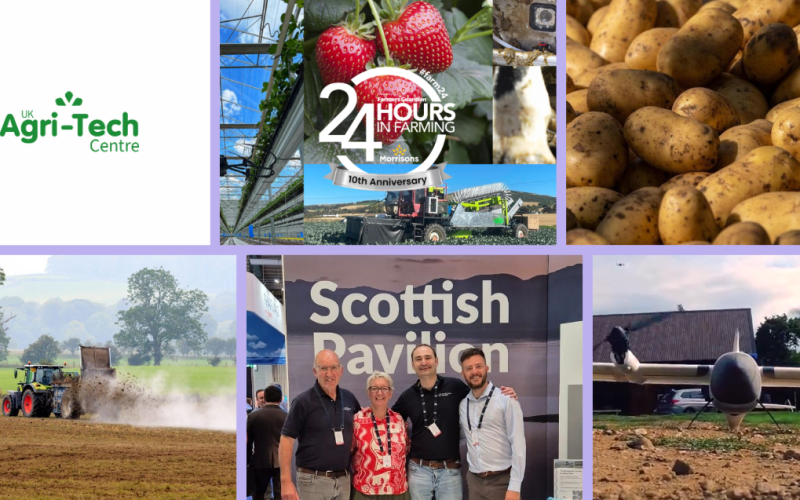 Website banner (1200 x 637 px)