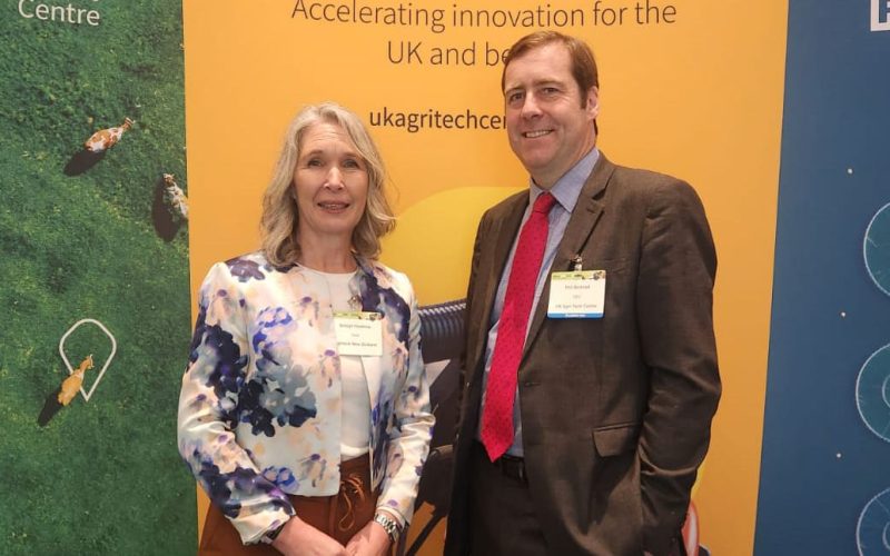 WhatsApp-Image-2024-10-31-at-11.36.00_7af8e302-1