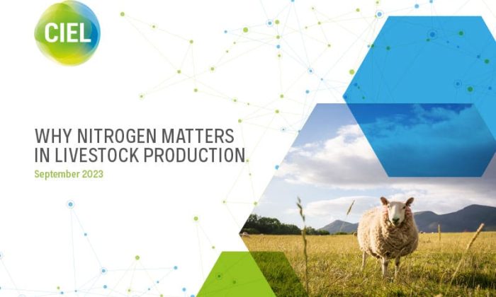 Why-nitrogen-matters-in-livestock-production-REPORT-1
