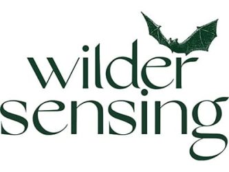 Wilder Sensing Logo 400 x 300