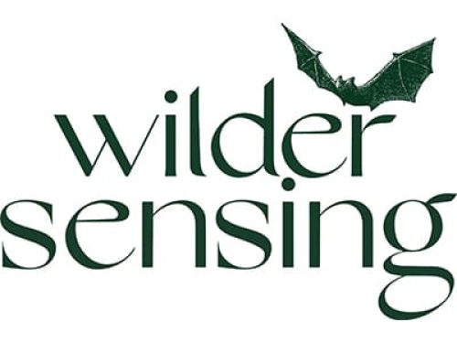 Wilder Sensing Logo 400 x 300