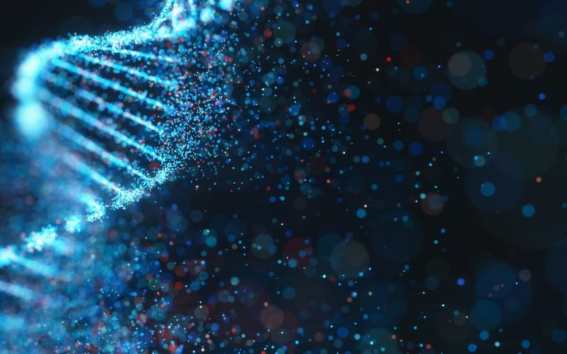 DNA | Genetics & breeding | UK Agri-Tech Centre | farming innovation