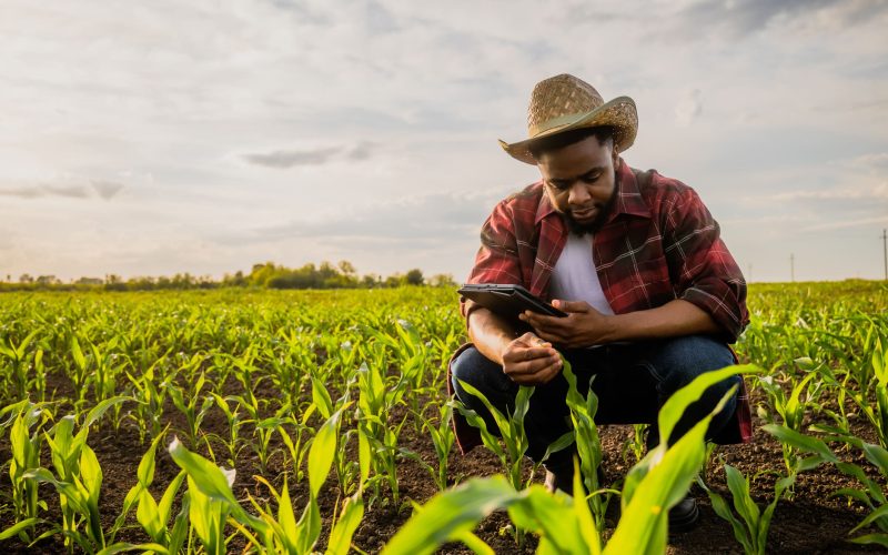 Young farmer using digital tablet in field | Expertise | UK Agri-Tech Centre | Farming innovation