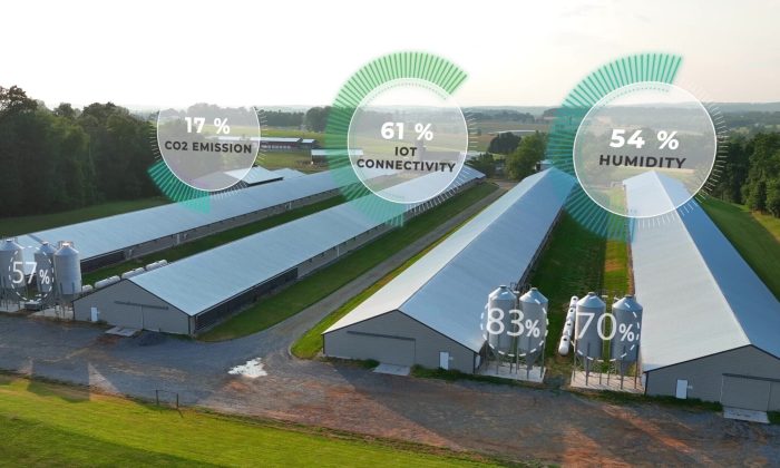 Chicken houses with overlay of data graphics on CO2, humidity, and IoT connectivity. Aerial of futuristic farming in USA with graphic data metrics