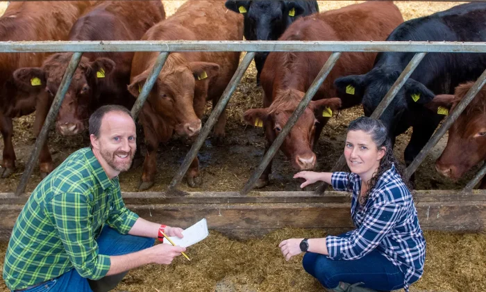 john-farquhar-and-carol-anne-duthie-with-cows