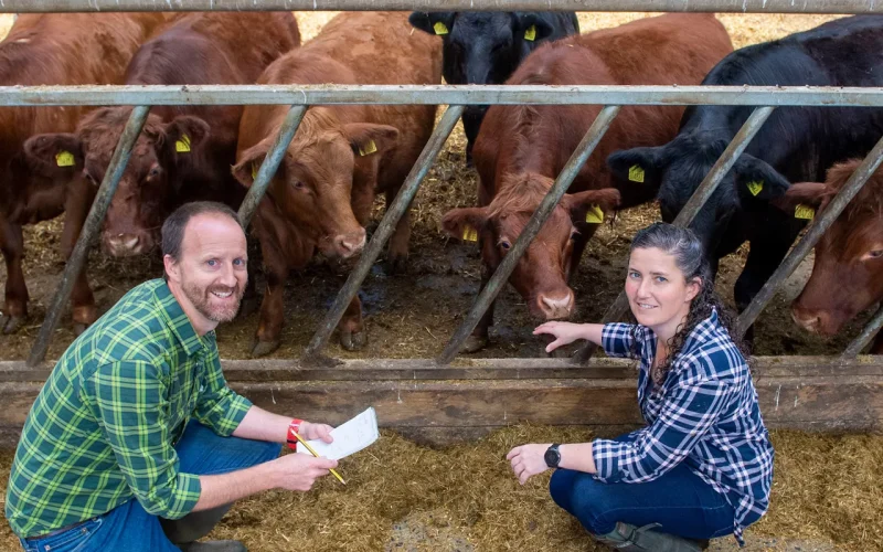 john-farquhar-and-carol-anne-duthie-with-cows