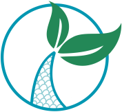 logo_transparent