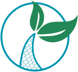 logo_transparent