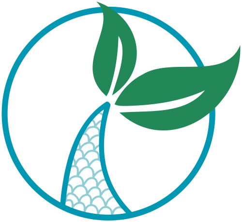 logo_transparent