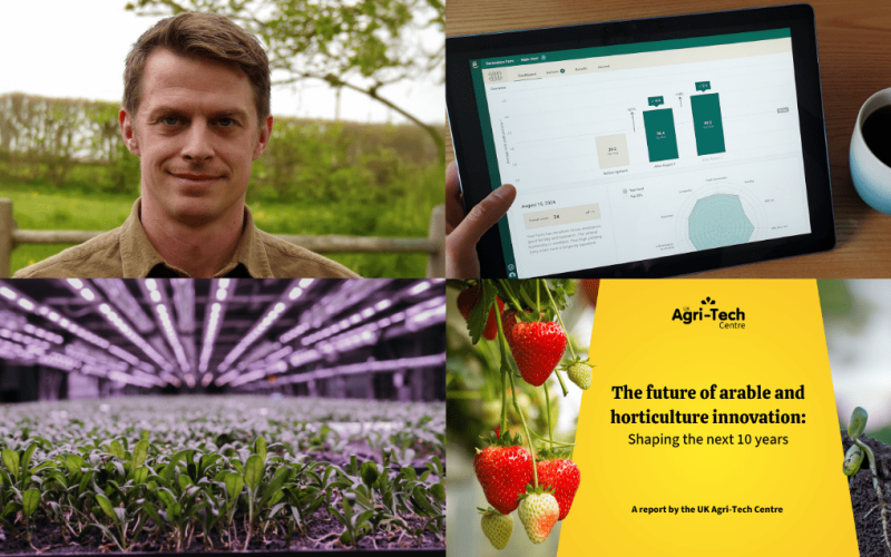 october content round up (2)