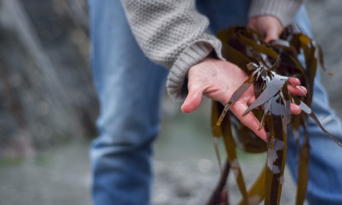 shutterstock_2161766115-1