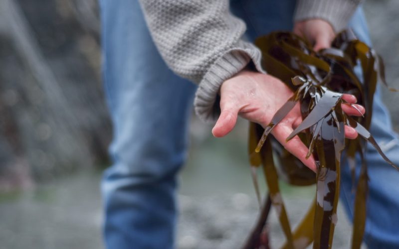 shutterstock_2161766115-1