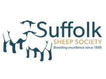 suffolk sheep society 400x300
