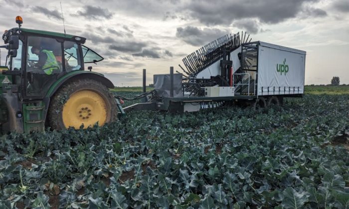 upp-broccoli-harvester-980x738